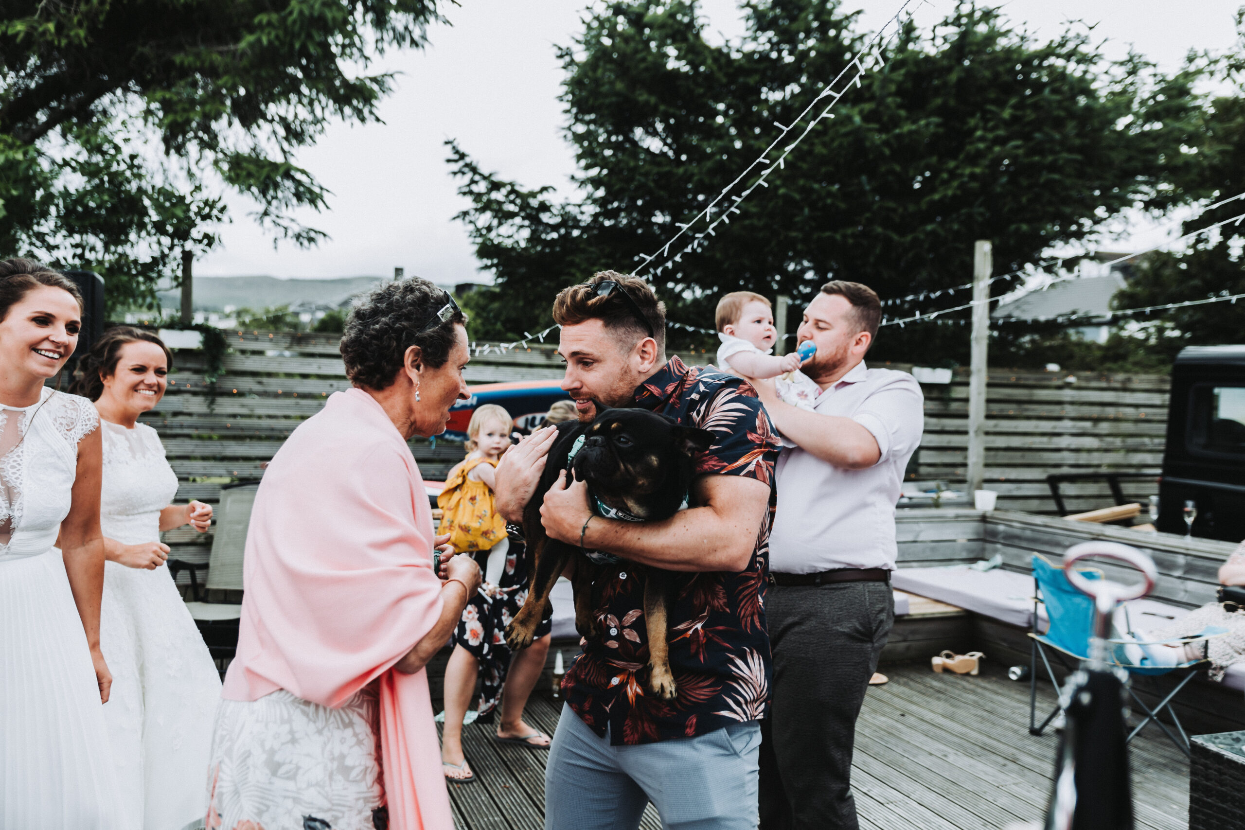 guest holding dog at wedding