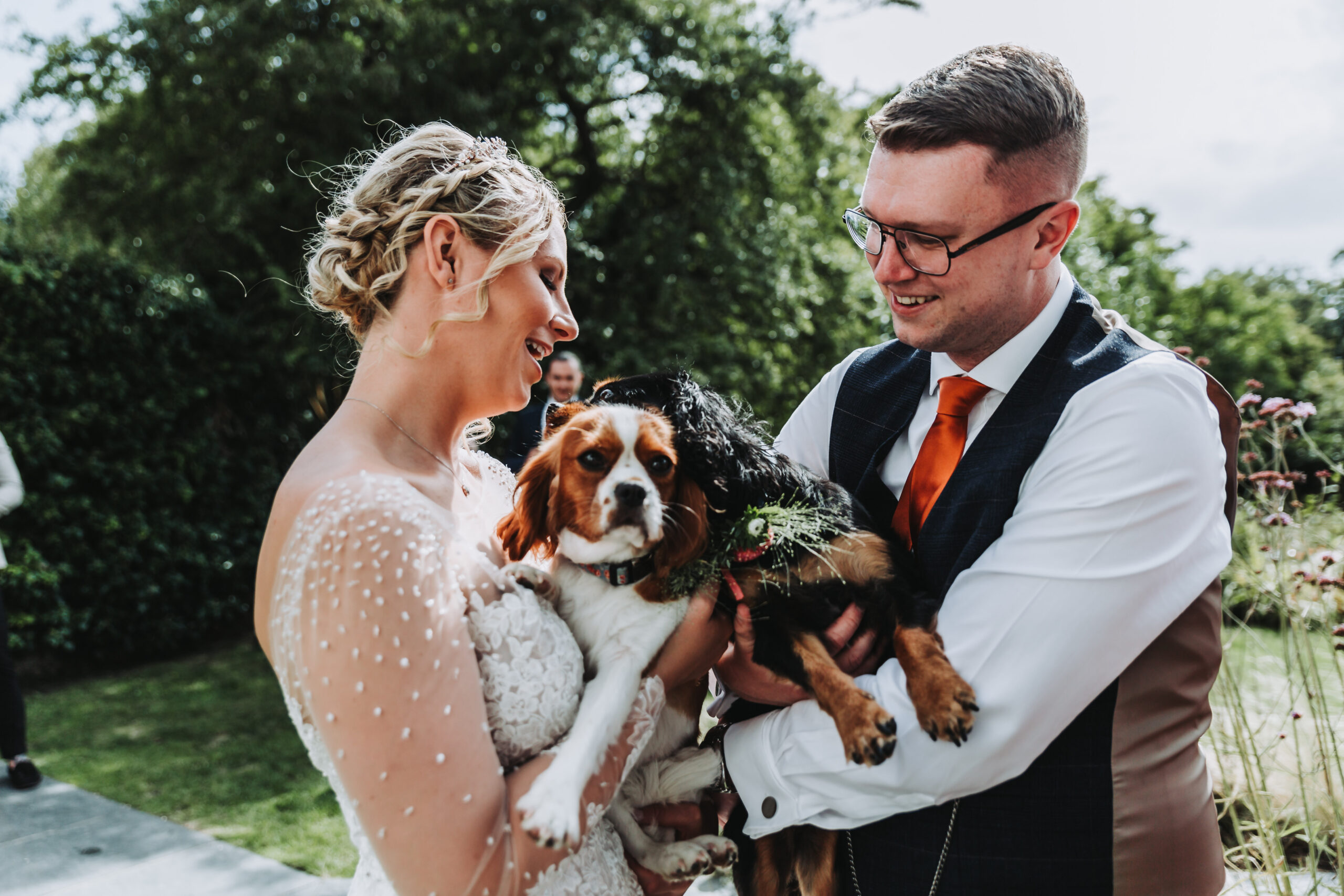 bride and groom with dogs at intimate cornish wedding