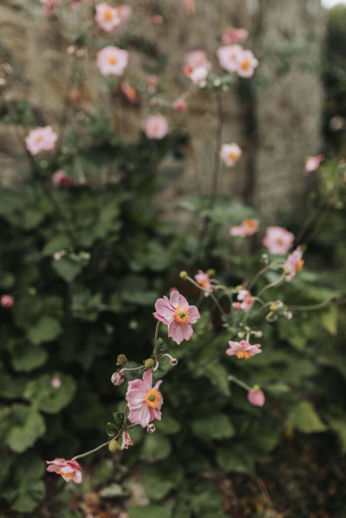 flowers at nantwen wedding venue