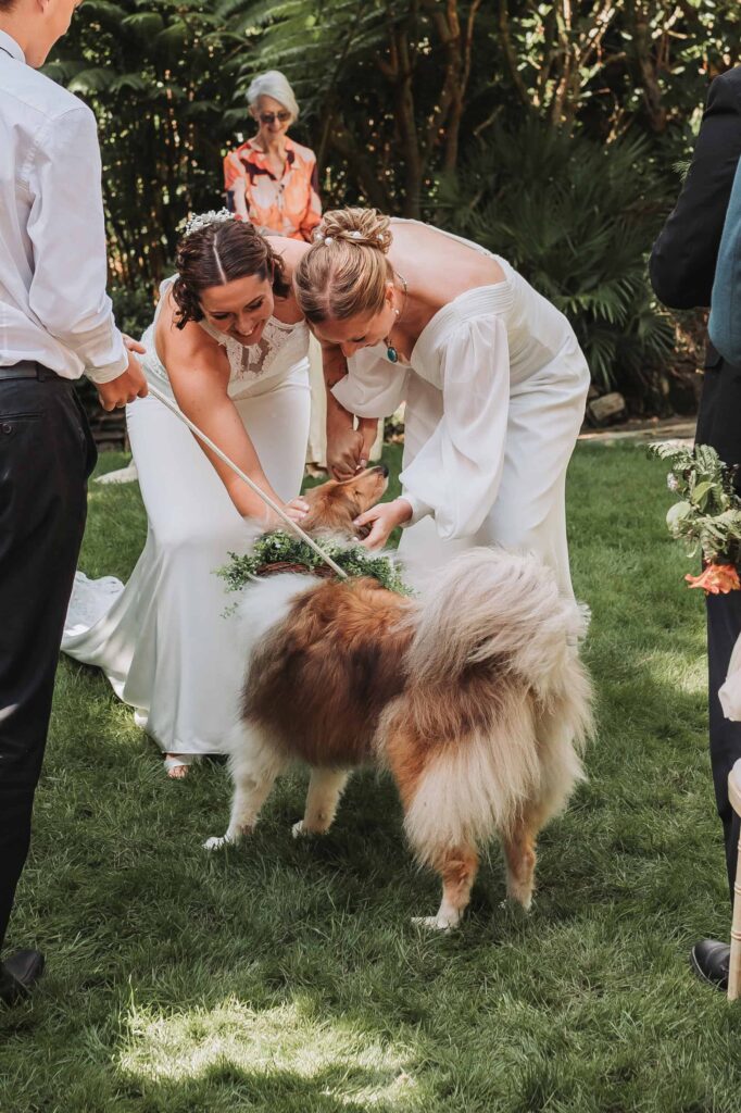 brides saying hello to their dog at lamorran gardens wedding