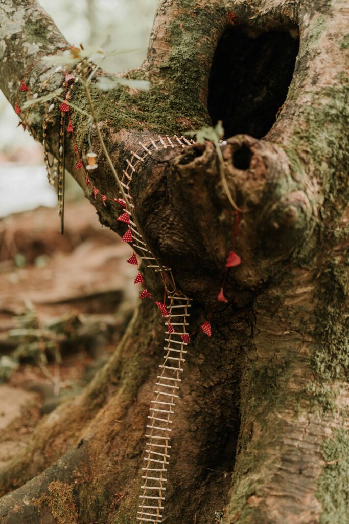 tiny ladder leading up tree trunk to a hole in the trunk