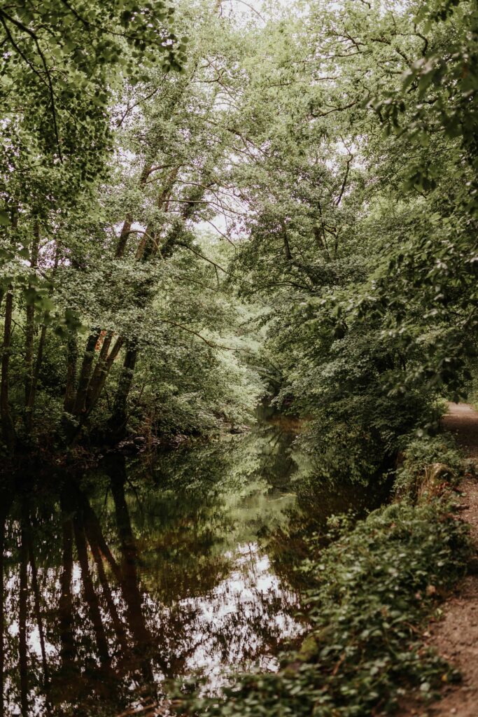 river running through woodland in devon