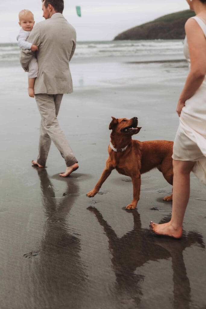 dog walking between bride and groom on beach