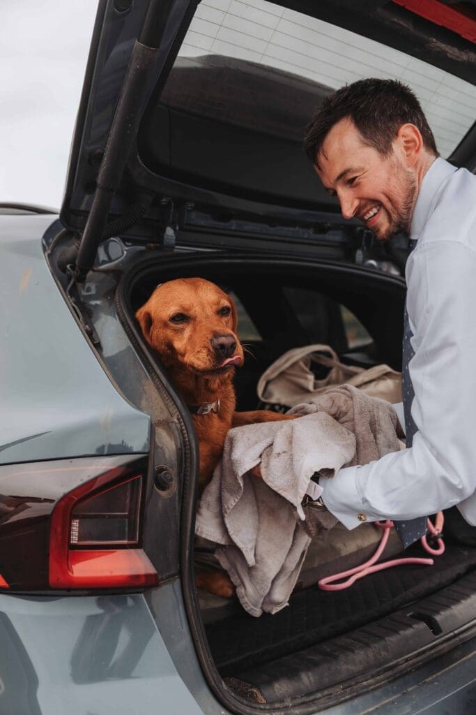 groom putting dog in the car