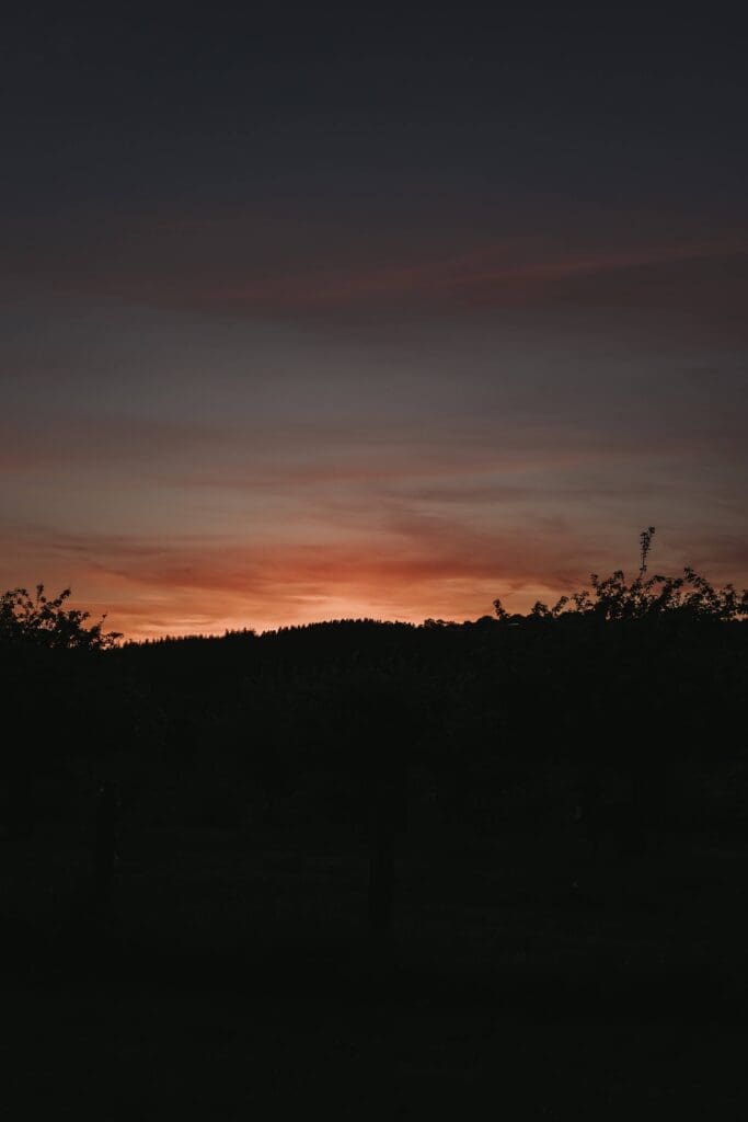sunset at woodland wedding